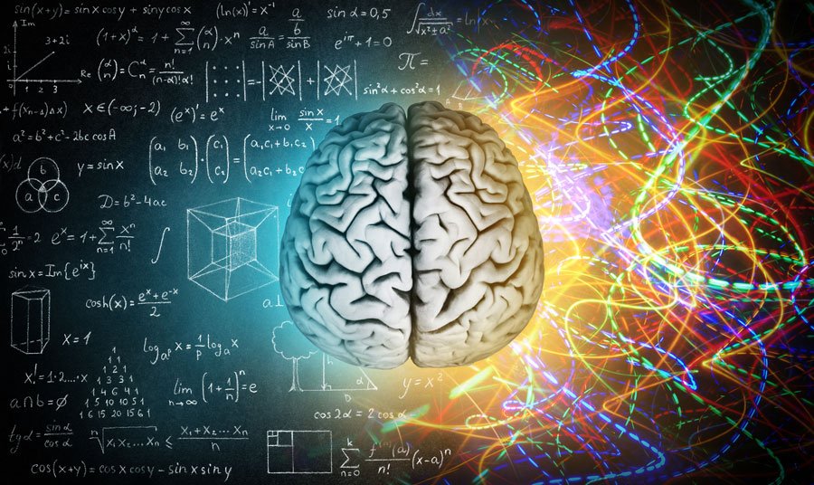 Gehirn Mathematik