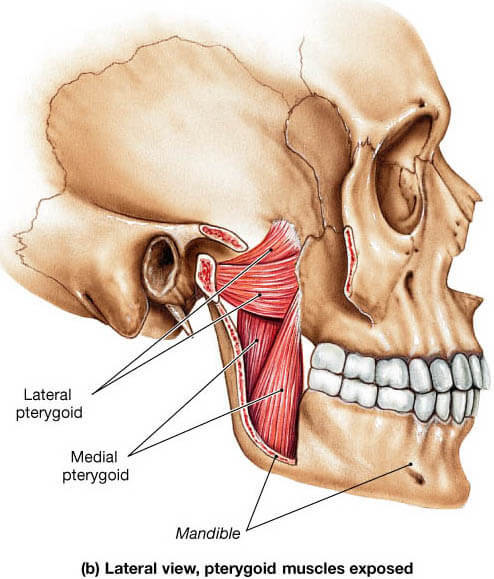 Temporomandibular eklem kondiler diskopsi sonrası evde yapılan egzersizle karşılaştırıldığında erken denetimli rehabilitasyon programının etkisi