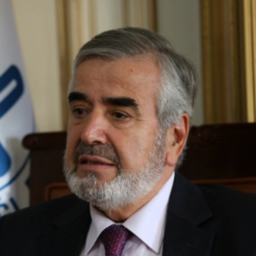 Prof. Dr.Hasan Kamil Yılmaz