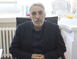 Prof. Dr. Ali Akay