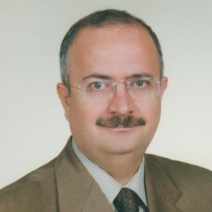 Prof. Dr. Sefa Saygılı